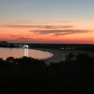 Meet your Posher, Louise